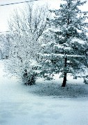 Julia Dorroughs front yard